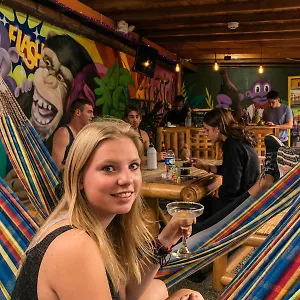 Hostal Purple Monkey